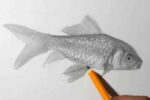 طراحی سیاه قلم حرفه ای ماهی گلدفیش
